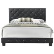 Glory Furniture Suffolk Velvet Upholstered Queen Bed in Black