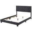 Glory Furniture Suffolk Velvet Upholstered Queen Bed in Black