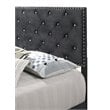 Glory Furniture Suffolk Velvet Upholstered Queen Bed in Black