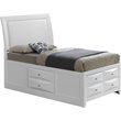 Glory Furniture Omega Wood Veneer Twin Storage Bed in White