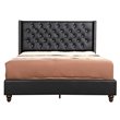 Glory Furniture Julie Velvet Upholstered Queen Bed in Black