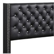 Glory Furniture Julie Velvet Upholstered Queen Bed in Black