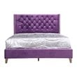 Glory Furniture Julie Velvet Upholstered Full Bed in Purple