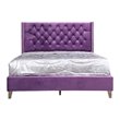 Glory Furniture Julie Velvet Upholstered Queen Bed in Purple