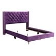 Glory Furniture Julie Velvet Upholstered Queen Bed in Purple