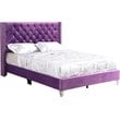Glory Furniture Julie Velvet Upholstered Queen Bed in Purple