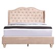 Glory Furniture Joy Velvet Upholstered Full Bed in Beige