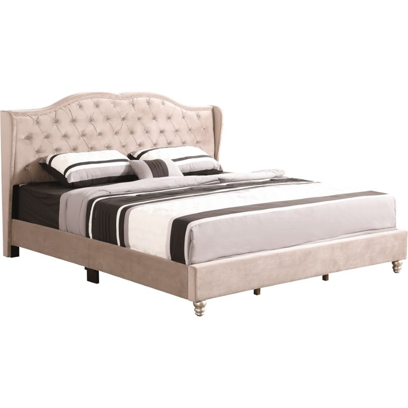 Glory Furniture Joy Velvet Upholstered King Bed in Beige