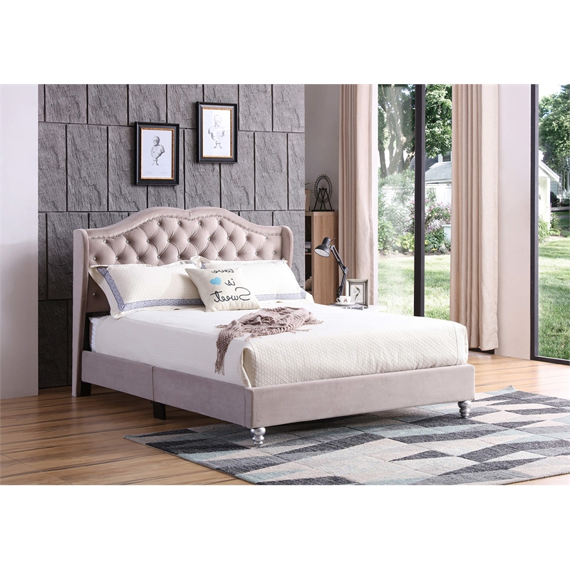 Glory Furniture Joy Velvet Upholstered Queen Bed in Beige
