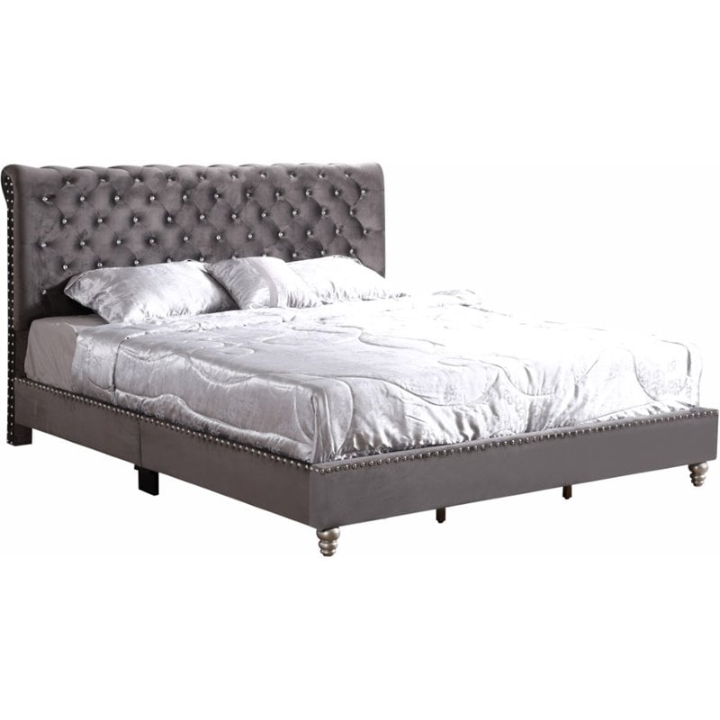 Glory Furniture Maxx Velvet Upholstered King Bed in Gray