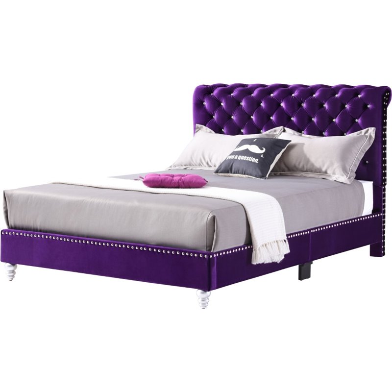 Glory Furniture Maxx Velvet Upholstered King Bed in Purple Cymax Business