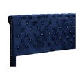Glory Furniture Maxx Velvet Upholstered Full Bed in Navy Blue