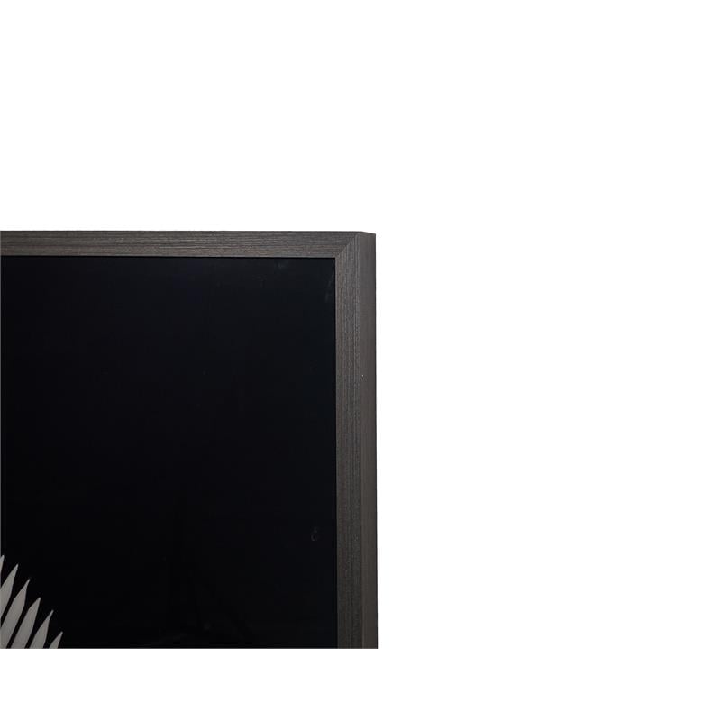 Sunpan 40