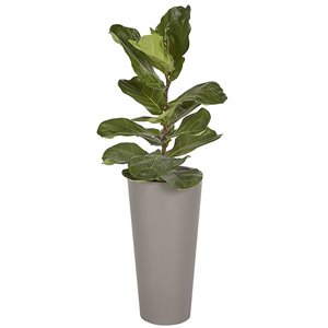 Sunpan Arbor 11.75&quot Round Modern Small Concrete Planter in Dark Gray