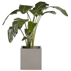 Sunpan Calix 19.75&quot Square Modern Concrete Planter in Dark Gray