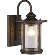 CHLOE Cole Transitional 1 Light Rubbed Bronze Outdoor Wall Sconce 13