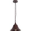 CHLOE CUDDIE Industrial 1 Light Oil Rubbed Bronze Ceiling Pendant 11