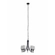 Chloe Lighting Willan 5-Light Glass Metal Up-Hanging Chandelier in Matte Black