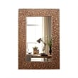 Chloe Lighting Reflection Contemporary Rectangle Glass Wall Mirror in Gold