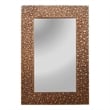 Chloe Lighting Reflection Contemporary Rectangle Glass Wall Mirror in Gold