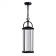 CWI Lighting Greenwood 1 Light Farmhouse Metal LED Outdoor Pendant in Black