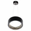 CWI Lighting Rosalina Contemporary Metal LED Chandelier in Black