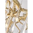 CWI Lighting Anita 12 Light Transitional Metal Chandelier in Gold