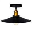 CWI Lighting Brave 1 Light Farmhouse Metal Flush Mount in Black