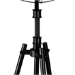 CWI Lighting Pamela 5 Light Farmhouse Metal Floor Lamp in Black