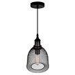 CWI Lighting Drea 1 Light Down Farmhouse Metal Mini Pendant in Black