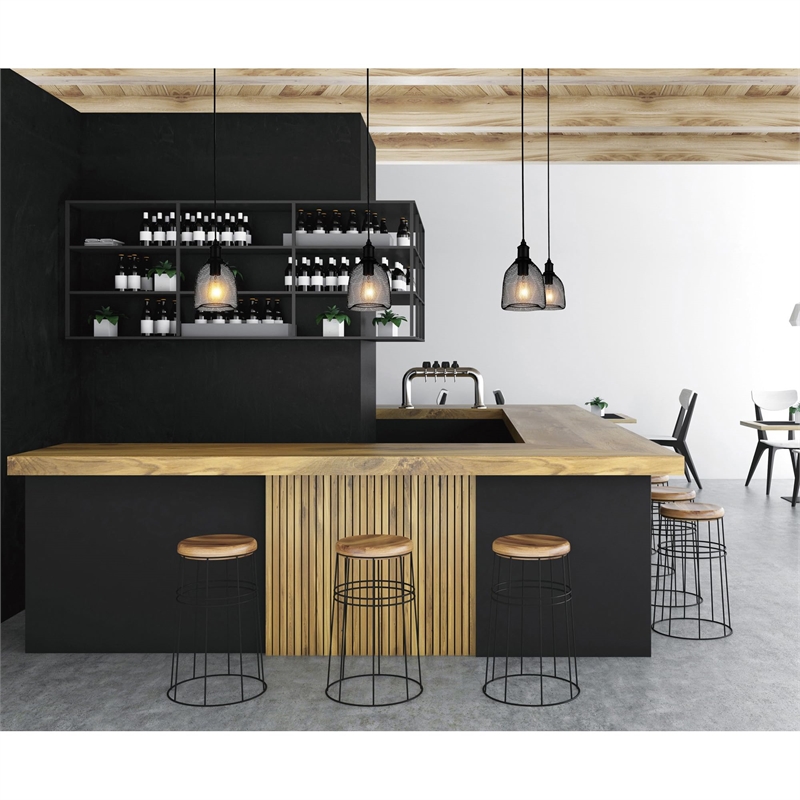 CWI Lighting Drea 1 Light Down Farmhouse Metal Mini Pendant in Black