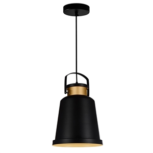 CWI Lighting Elisa 1 Light Down Contemporary Metal Pendant in Black