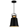 CWI Lighting Elisa 1 Light Down Contemporary Metal Pendant in Black