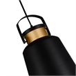CWI Lighting Elisa 1 Light Down Contemporary Metal Pendant in Black