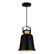 CWI Lighting Elisa 1 Light Down Contemporary Metal Pendant in Black