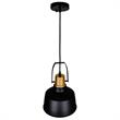 CWI Lighting Elisa 1 Light Down Contemporary Metal Pendant in Black