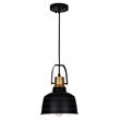 CWI Lighting Elisa 1 Light Down Contemporary Metal Pendant in Black