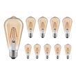 CWI Lighting 4W ST19 2700K Glass LED Bulb in Amber (Set of 10)