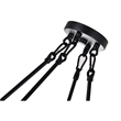 CWI Lighting Arkansas 4 Light Traditional Metal Chandelier in Black