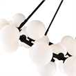 CWI Lighting Arya 25 Light Frosted Glass Chandelier in Black/White
