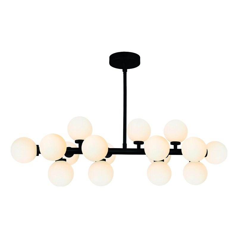 CWI Lighting Arya 16 Light Frosted Glass Chandelier in Black