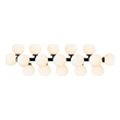 CWI Lighting Arya 17 Light Frosted Glass Wall Sconce in Black/White