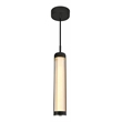 CWI Lighting Neva 1 Light LED Integrated Metal Chandelier in Black
