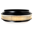 CWI Lighting Valdivia 4 Light Glass Indoor Flush Mount in Black