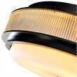 CWI Lighting Valdivia 4 Light Glass Indoor Flush Mount in Black