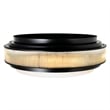 CWI Lighting Valdivia 5 Light Glass Indoor Flush Mount in Black