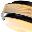 CWI Lighting Valdivia 5 Light Glass Indoor Flush Mount in Black