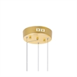 CWI Lighting Millipede Integrated LED Metal Chandelier in Satin Gold