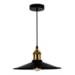 CWI Lighting Brave 1 Light Sophisticated Metal Indoor Mini Pendant in Black