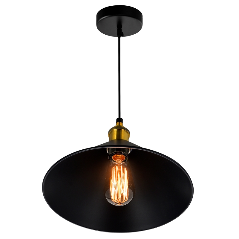 CWI Lighting Brave 1 Light Metal Indoor Mini Pendant in Black